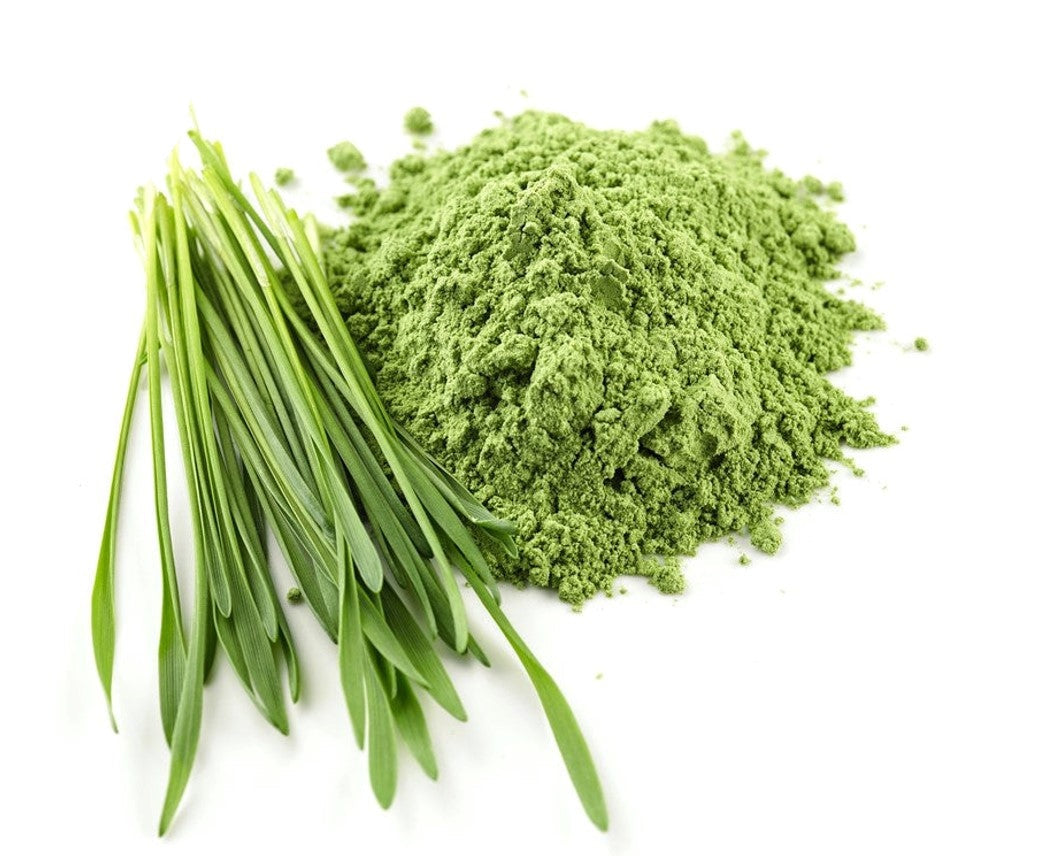 Barley Grass Powder - Organic