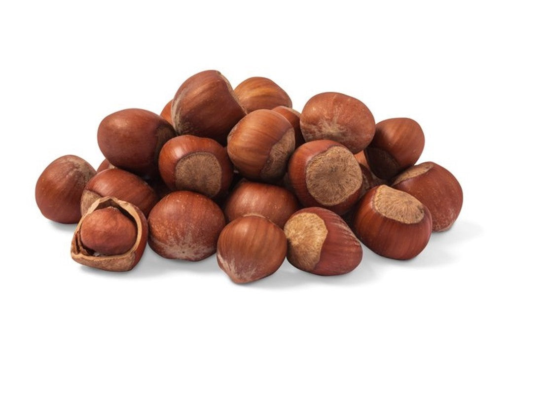 Hazelnuts - Raw in Shell