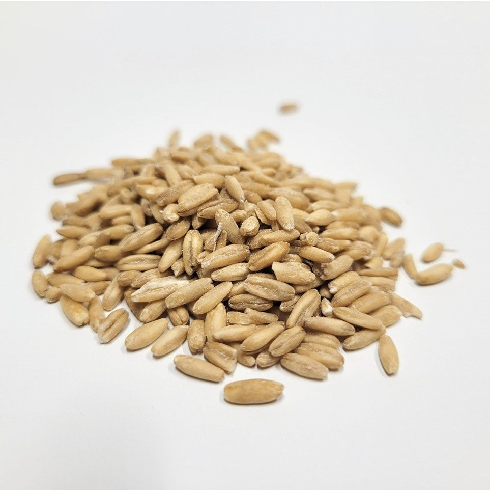 Oats - Organic Kernels