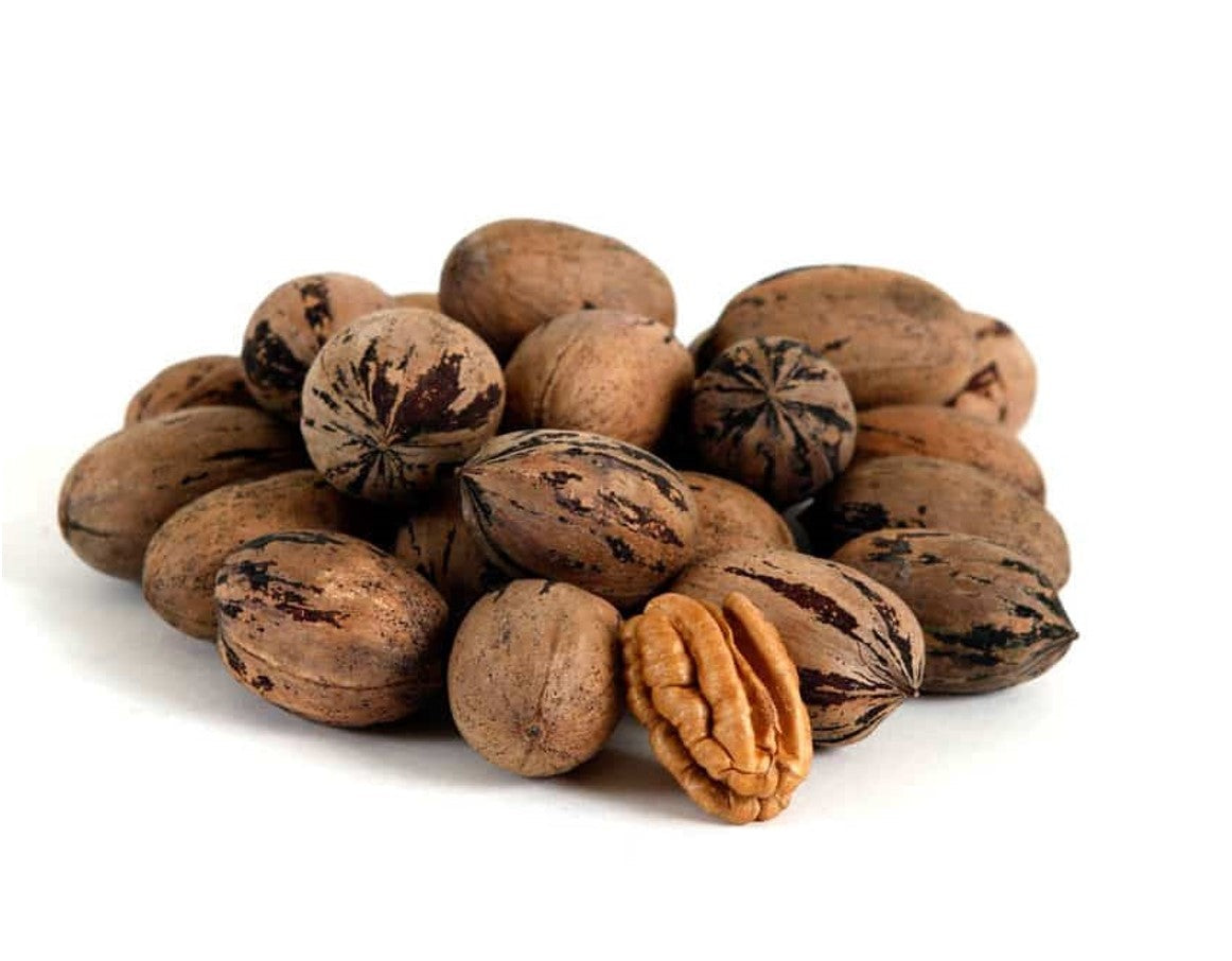 Pecans - Raw in Shell Organic
