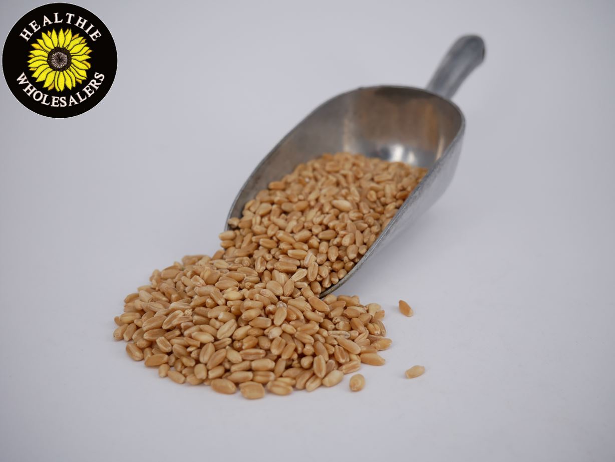 Wheat Grain - Organic