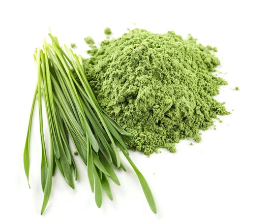 Barley Grass Powder - Organic