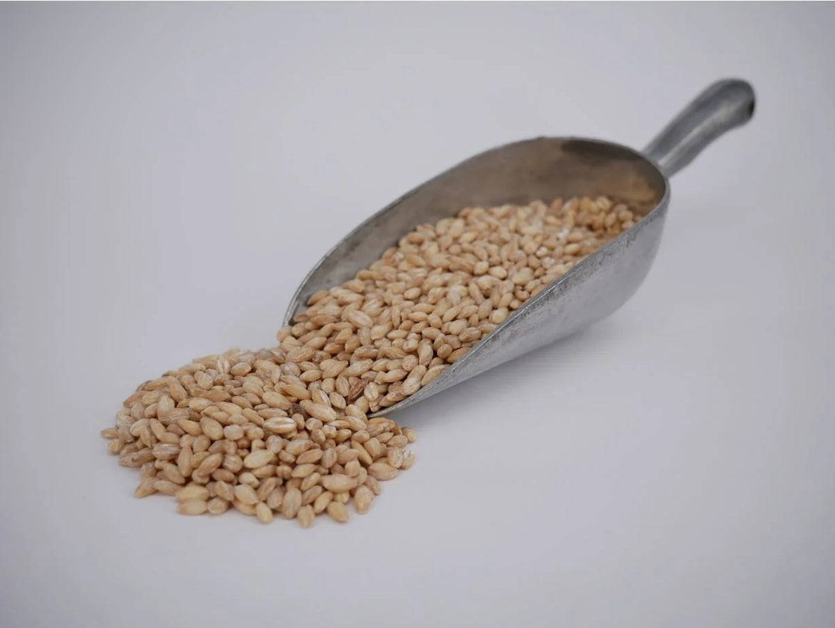 Barley Pearled - Organic
