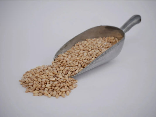 Barley Pearled - Organic