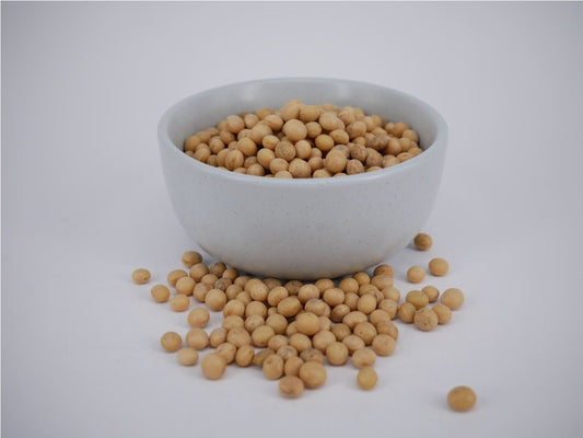 Beans - Soya BioDynamic