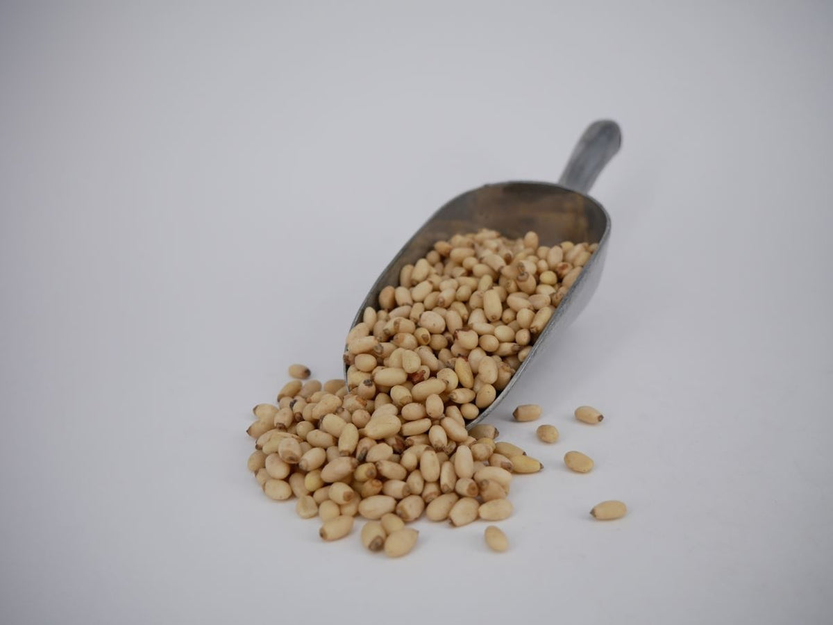 Pine Nuts