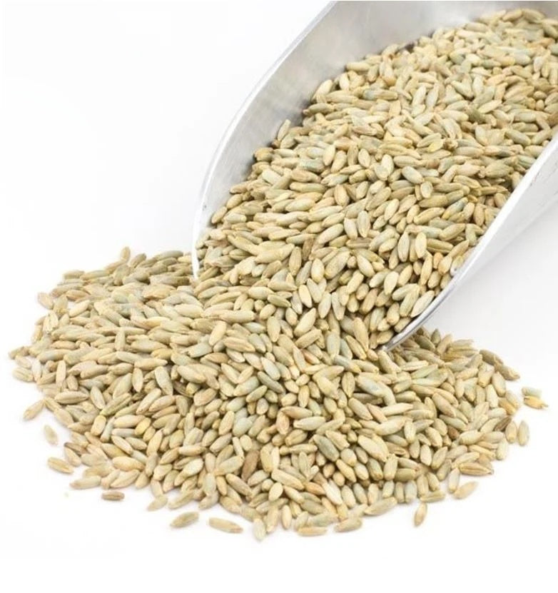 Rye Grain - Organic