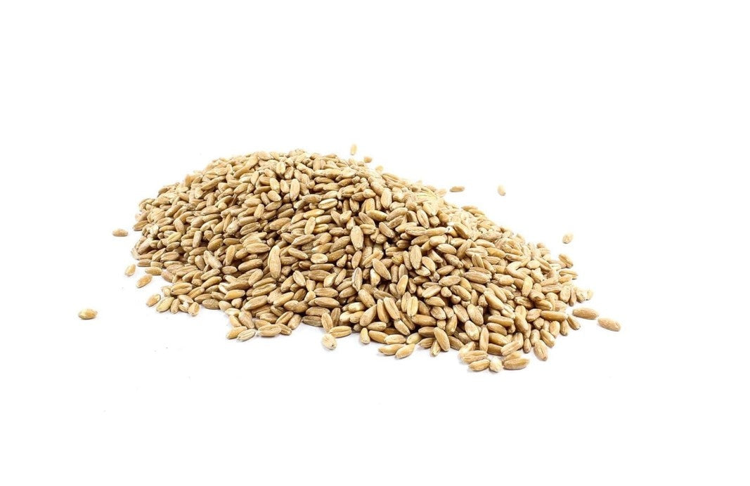 Spelt Grain - Organic