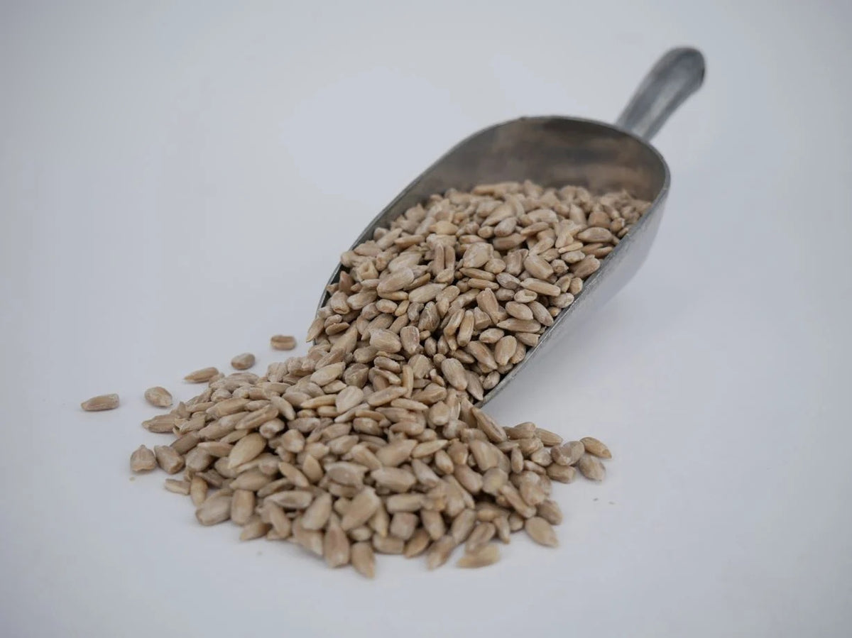 Sunflower Seeds - Conventional