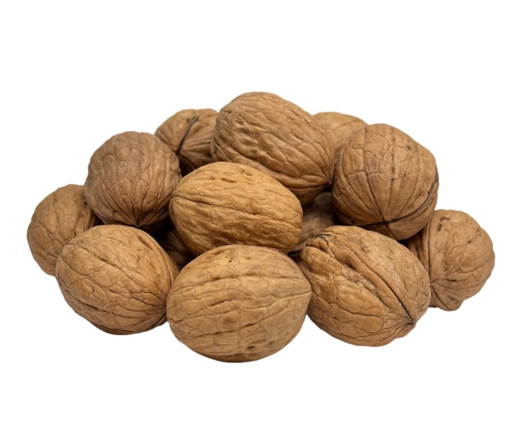 Walnuts in Shell