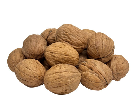 Walnuts in Shell